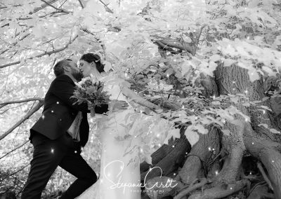 Brautpaar küsst sich unter Baum